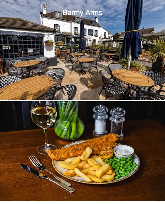 barmy arms