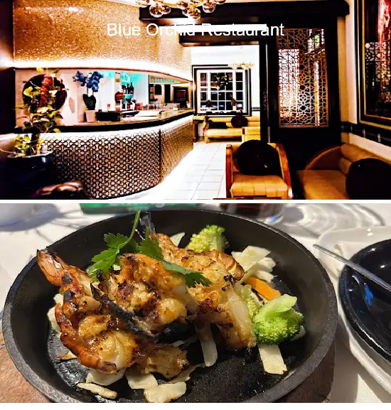 blue orchid restaurant