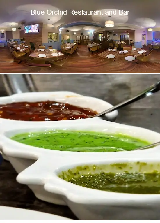 blue orchid restaurant and bar