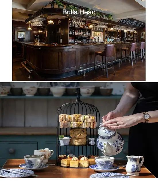 bulls head