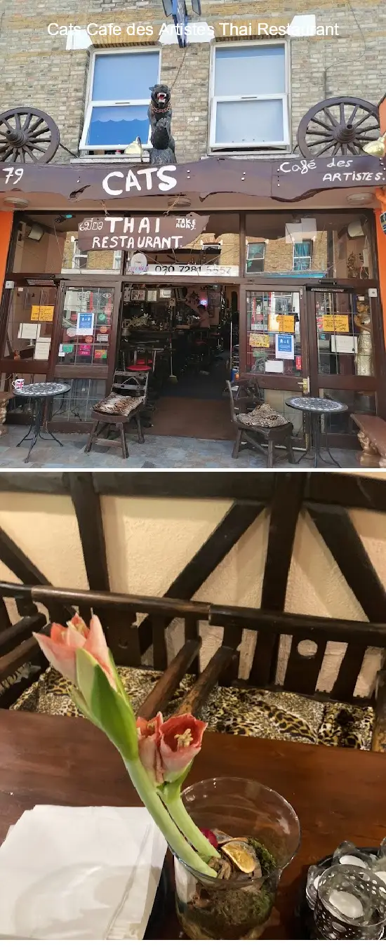 cats cafe des artistes thai restaurant