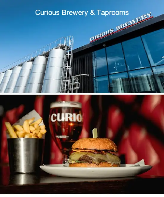 curious brewery & taprooms