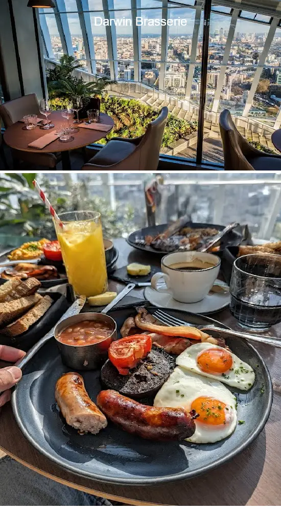 darwin brasserie
