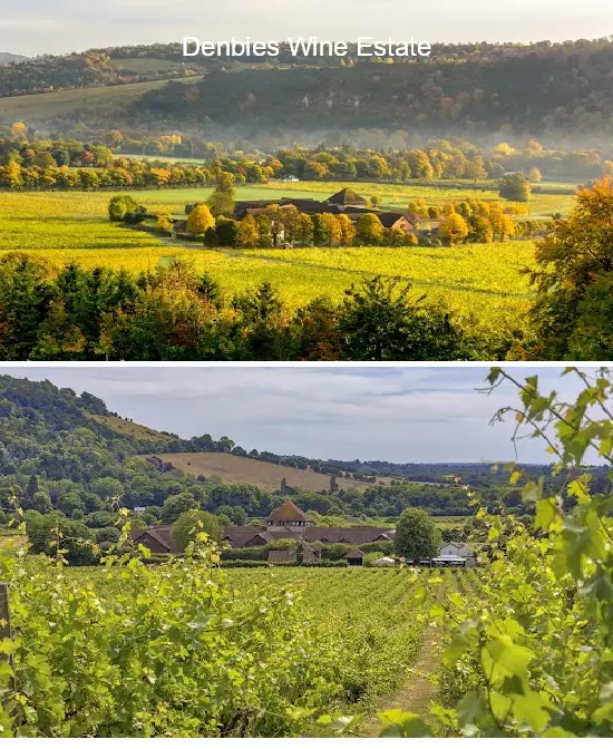 denbies wine estate