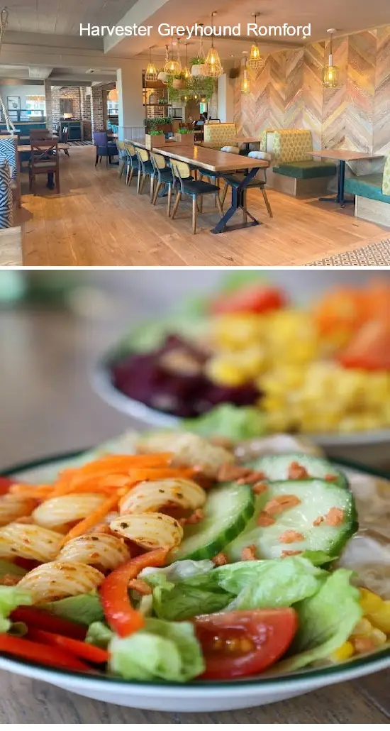 harvester greyhound romford