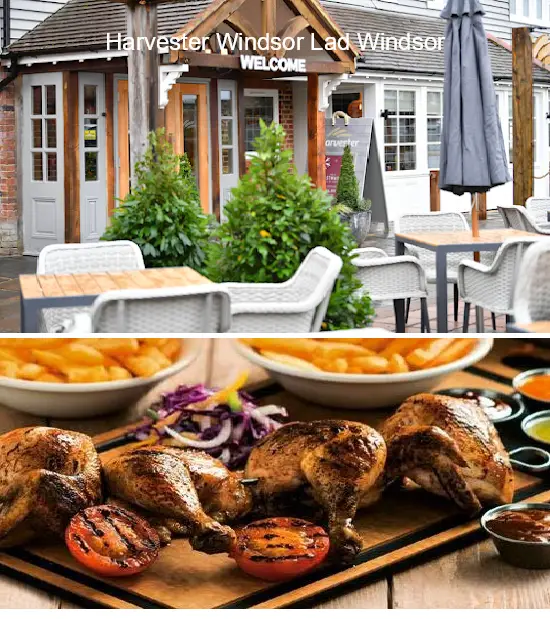harvester windsor lad windsor
