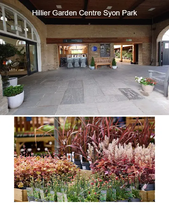hillier garden centre syon park