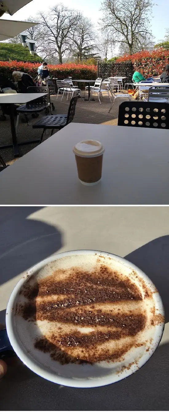 horniman cafe