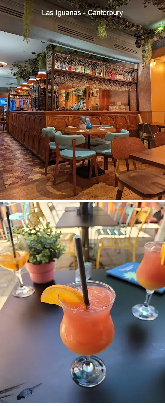 las iguanas   canterbury