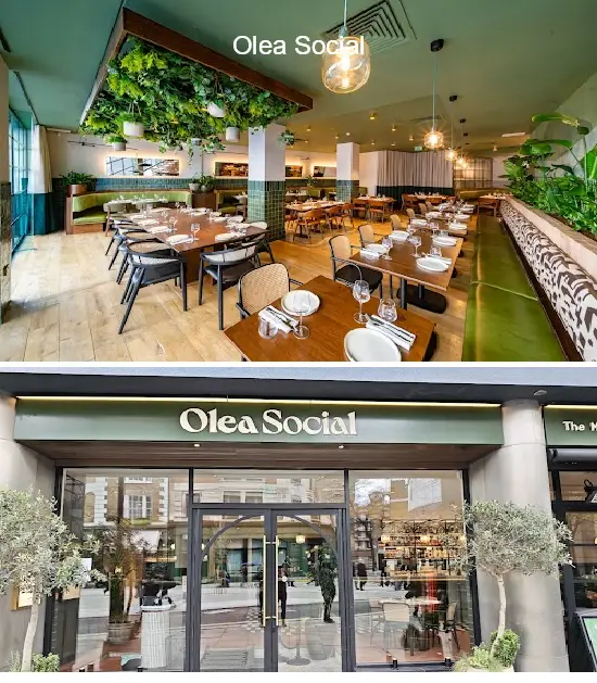 olea social