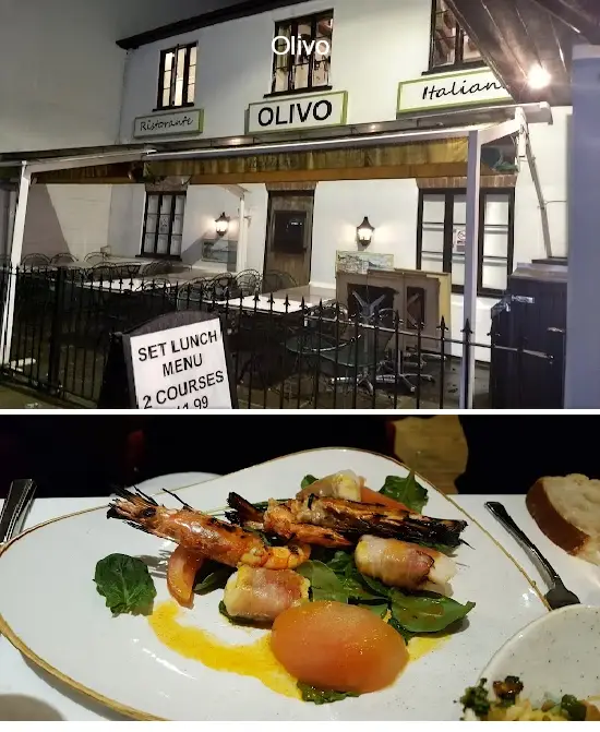 olivo
