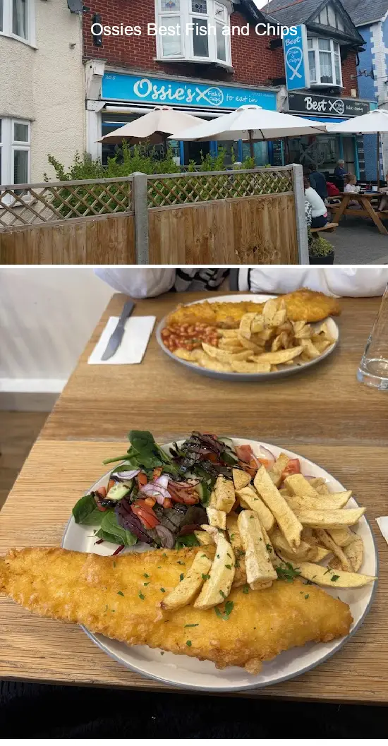 ossies best fish and chips