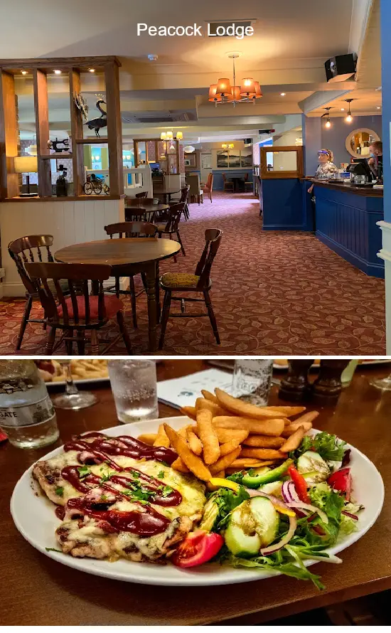 peacock lodge