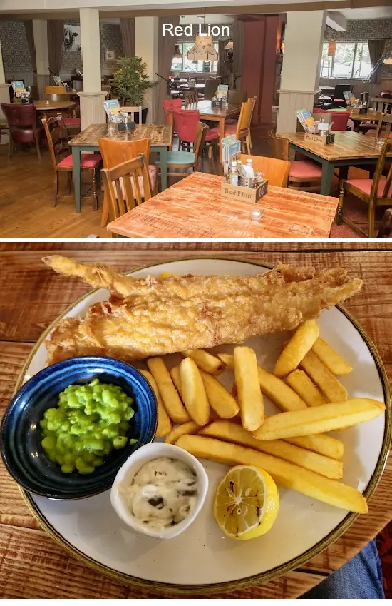 red lion