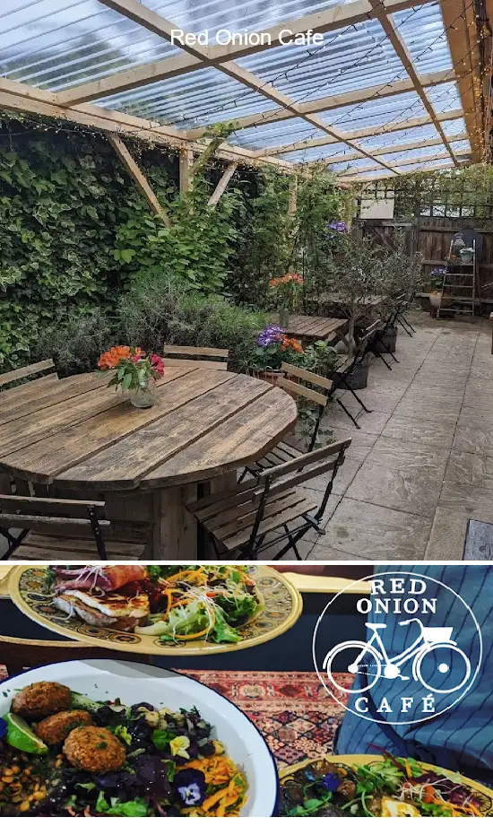 red onion cafe