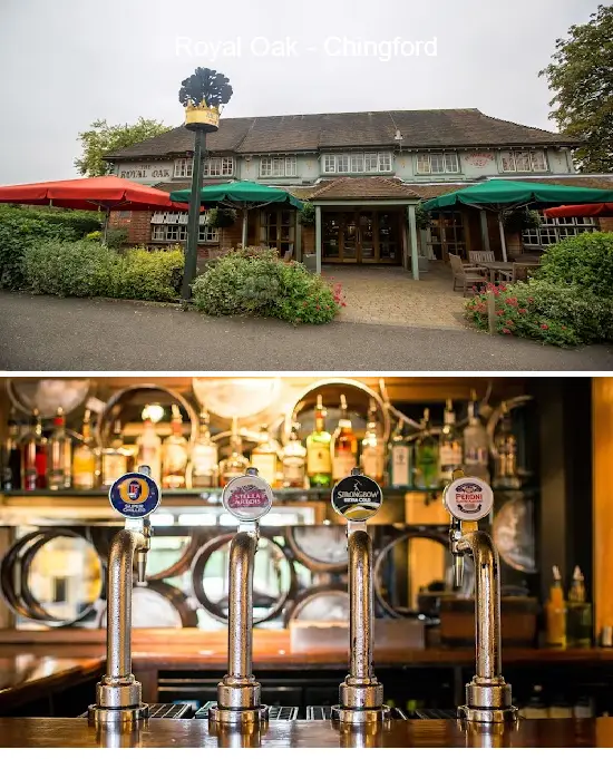 royal oak   chingford
