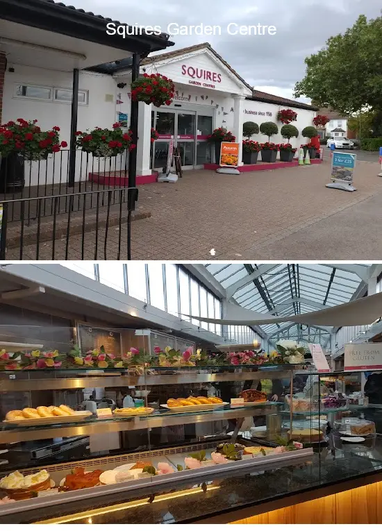 squires garden centre