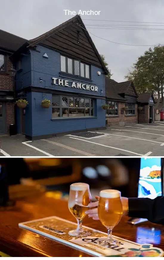 the anchor