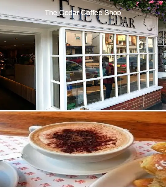 the cedar coffee shop