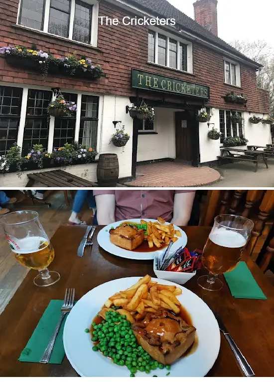 the cricketers