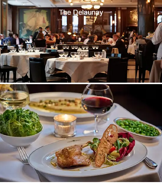 the delaunay
