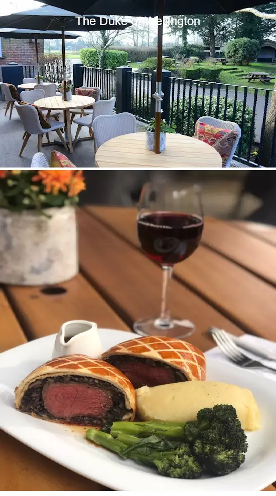 the duke of wellington