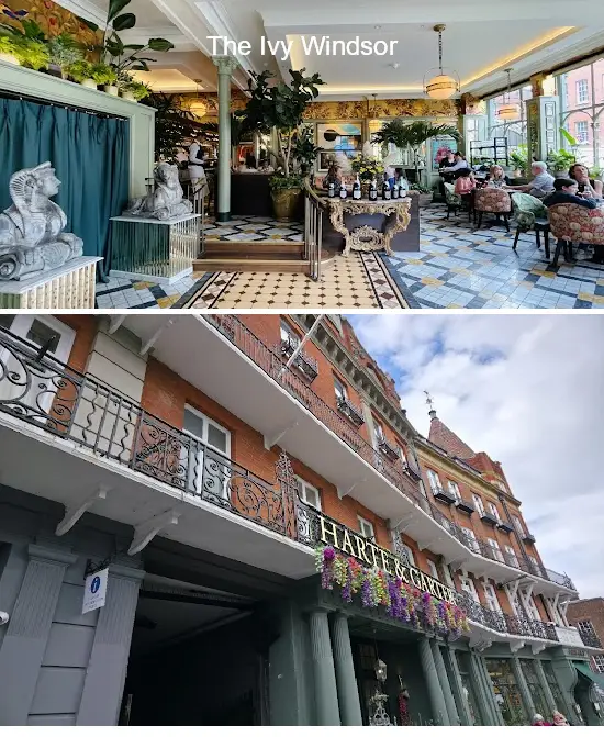 the ivy windsor
