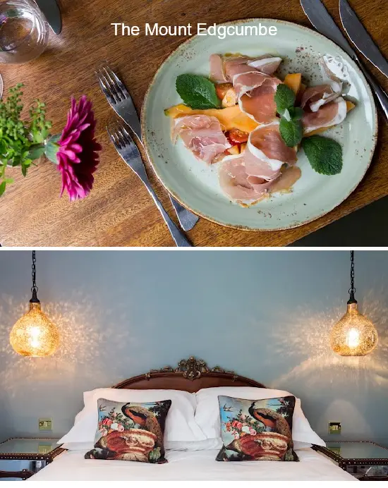the mount edgcumbe