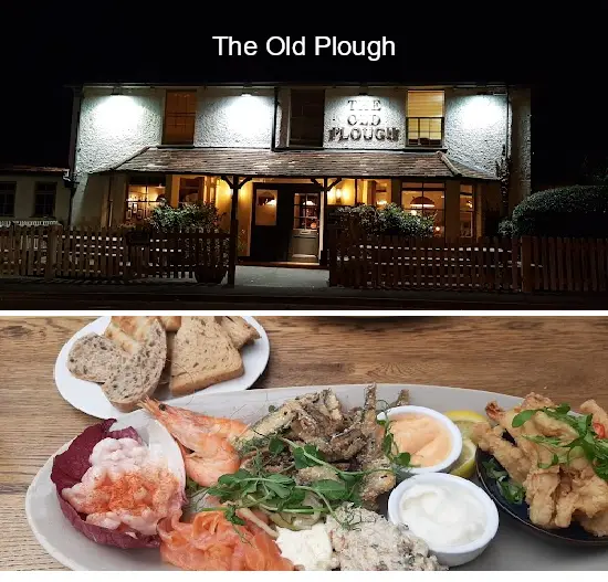 the old plough