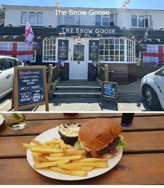 the snow goose