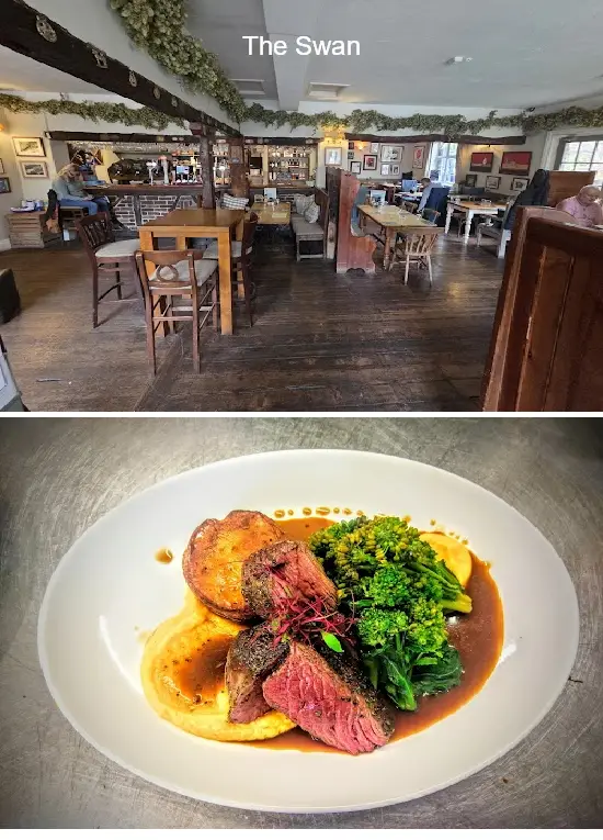 the swan haringey