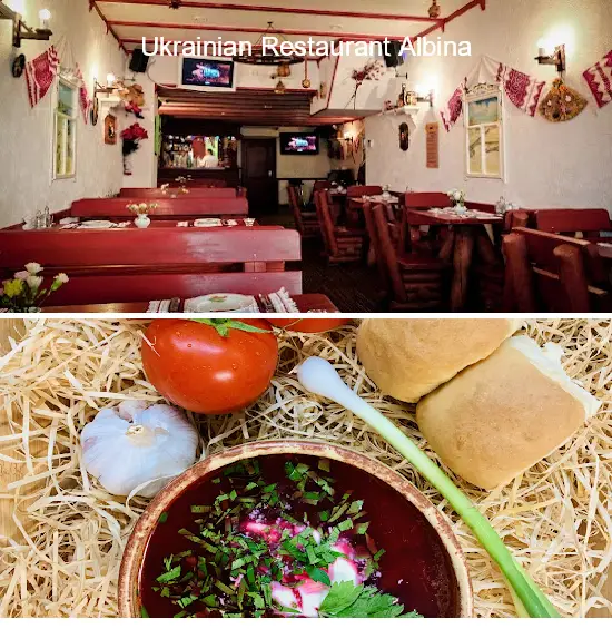 ukrainian restaurant albina