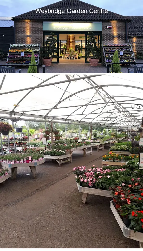weybridge garden centre