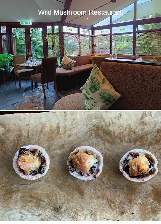 wild mushroom restaurant