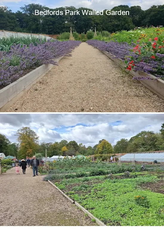 Where to Go in  Havering, london: Top 3 Attractions & Local Favorites