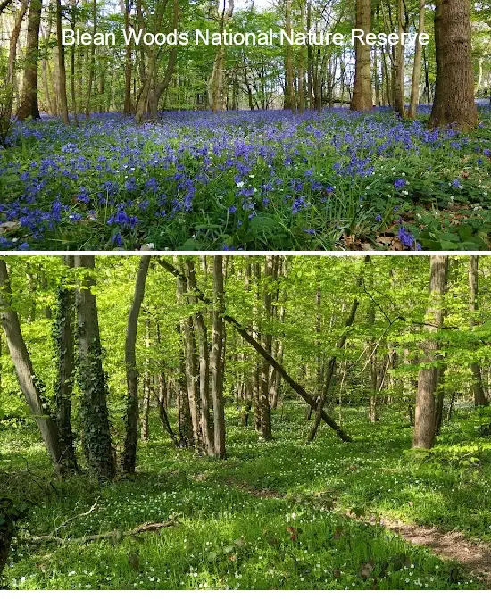 Where to Go in  Kent, South East: Top 11 Attractions & Local Favorites