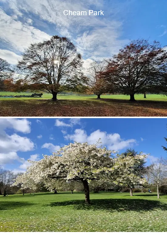 Where to Go in  Sutton, london: Top 2 Attractions & Local Favorites