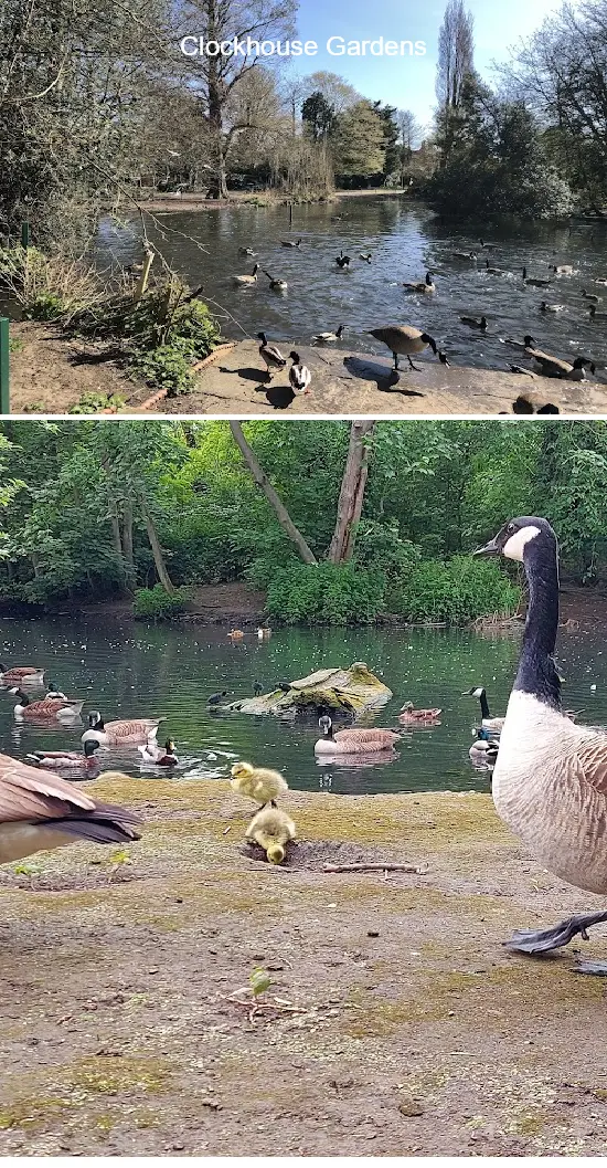 Where to Go in  Havering, london: Top 4 Attractions & Local Favorites