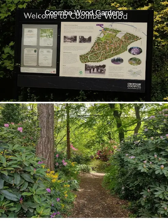 Where to Go in  Croydon, london: Top 15 Attractions & Local Favorites