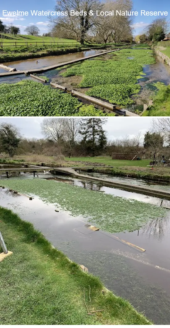 Where to Go in  Oxfordshire, South East: Top 15 Attractions & Local Favorites