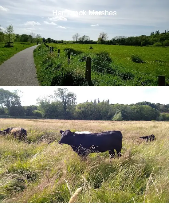 Where to Go in  Kent, South East: Top 5 Attractions & Local Favorites