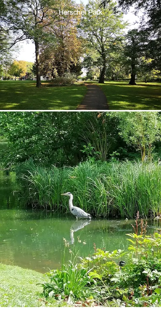 Where to Go in  Berkshire, South East: Top 7 Attractions & Local Favorites
