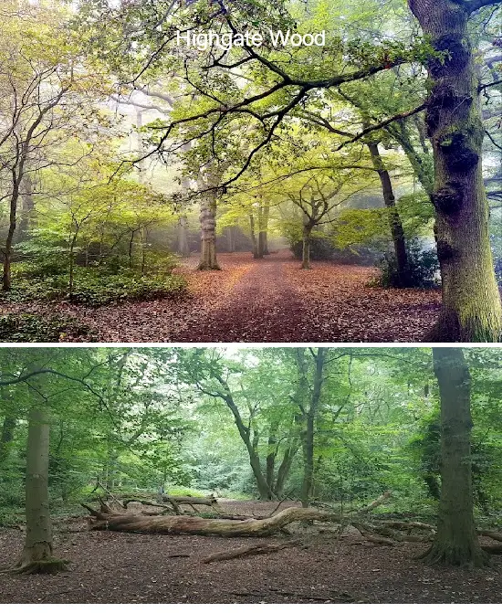 Where to Go in  Haringey, london: Top 1 Attractions & Local Favorites