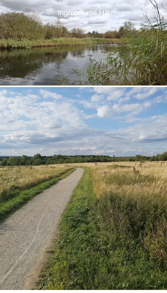 Where to Go in  Havering, london: Top 5 Attractions & Local Favorites