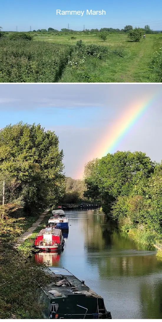 Where to Go in  Enfield, london: Top 2 Attractions & Local Favorites
