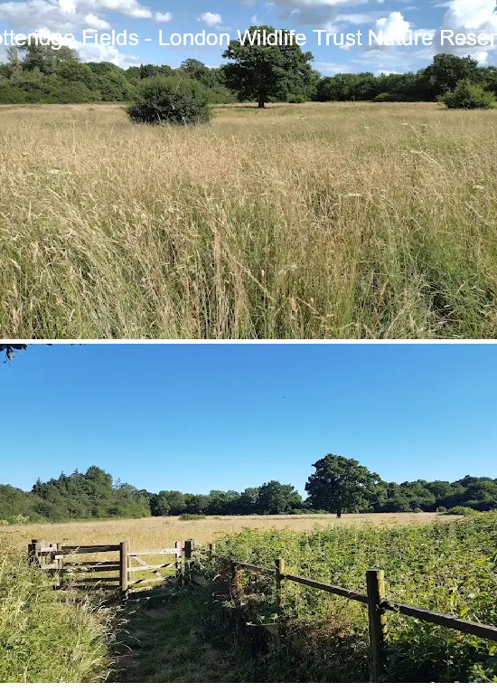 Where to Go in  Barnet, london: Top 1 Attractions & Local Favorites