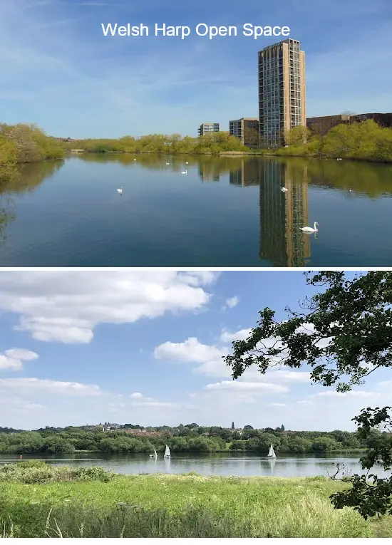 Where to Go in  Brent, london: Top 4 Attractions & Local Favorites