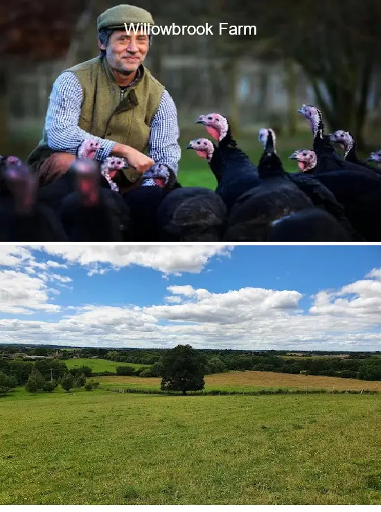 Where to Go in  Oxfordshire, South East: Top 2 Attractions & Local Favorites